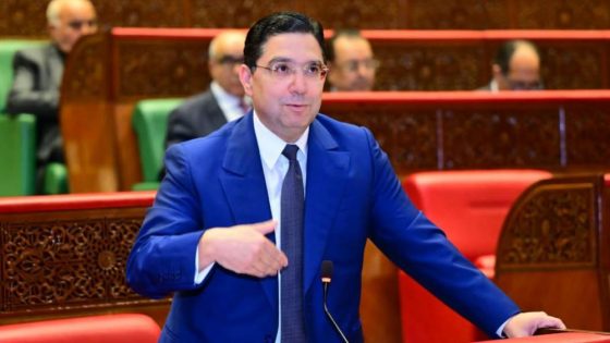 وزارة الخارجية تعالج 1345 شكاية خلال 2024 عبر البوابة الوطنية