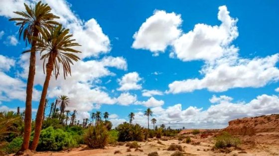 الأرصاد: حرارة نسبية وزخات رعدية اليوم الإثنين بالمغرب